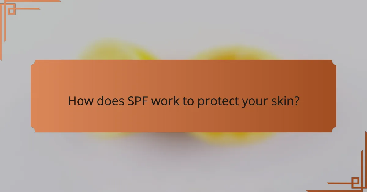 How does SPF work to protect your skin?